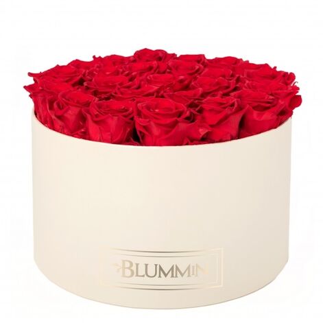 ОЧЕНЬ БОЛЬШОЙ БЛЮММИН - кремового цвета коробка с 25 яркими красными розами, спящими розами